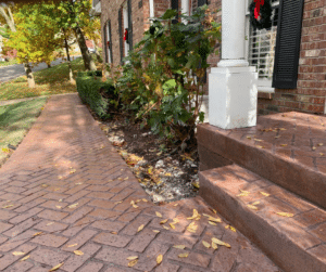 Brick Stamped Walkway